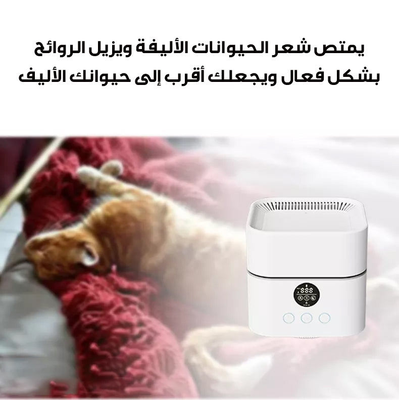 Multifunctional Air Purifier